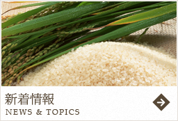 新着情報