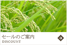 セールのご案内